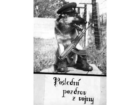 Foto 7